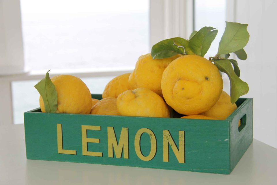procida Limoni