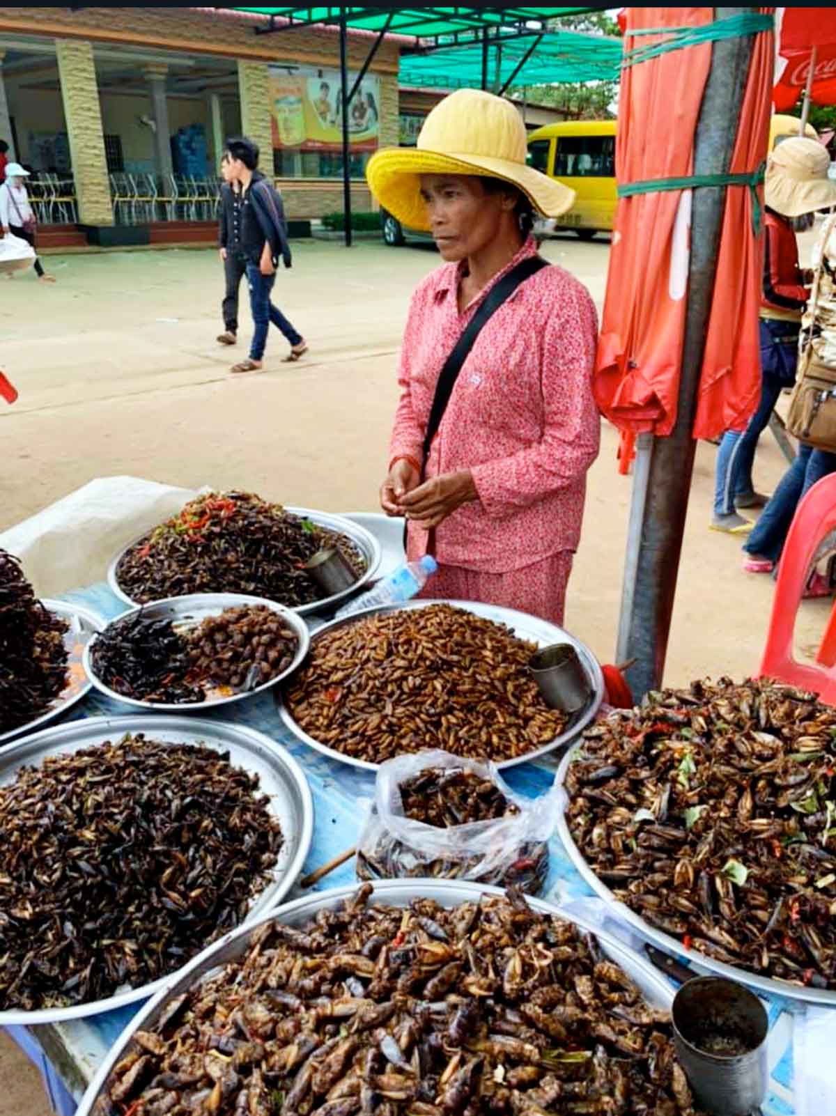 Cambogia mercato dei ragni a Skoun