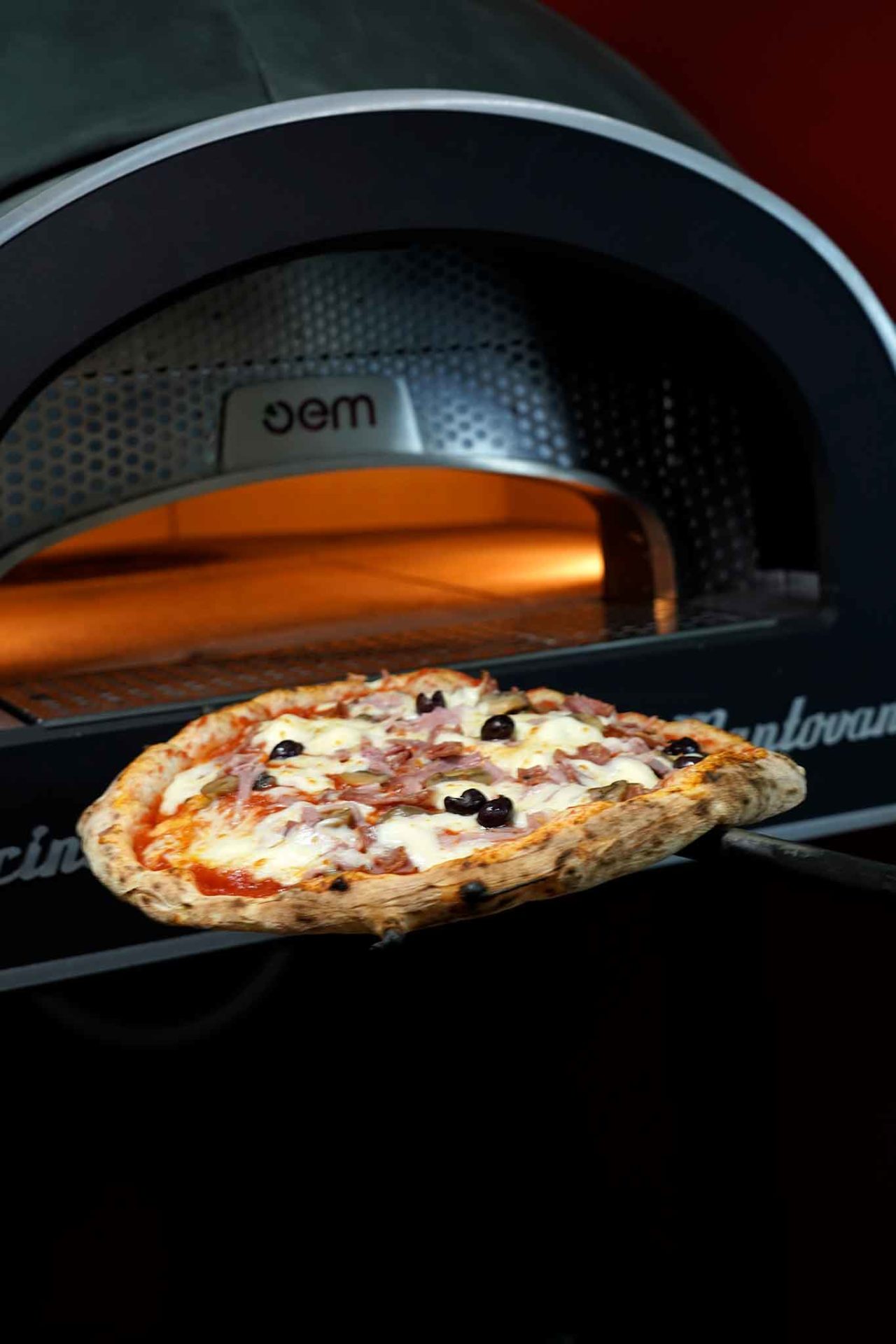 pizza capricciosa forno elettrico Dome OEM Gina Pizza Portici