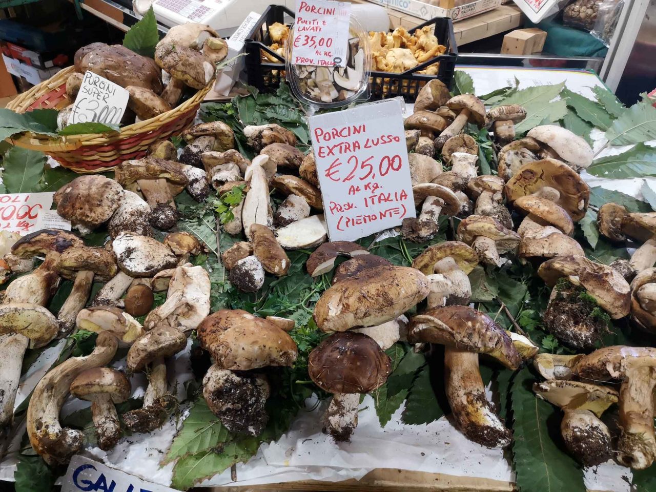 funghi porcini prezzo