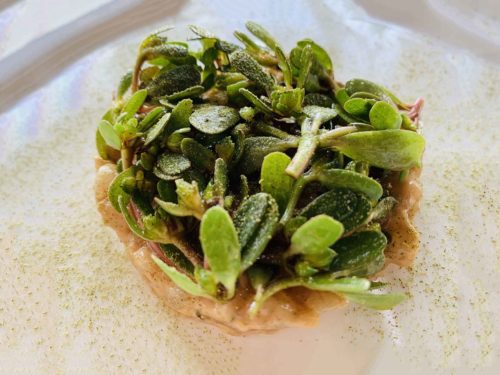 Insight Eatery ristorante Abruzzo tartare gambero insalata portulaca