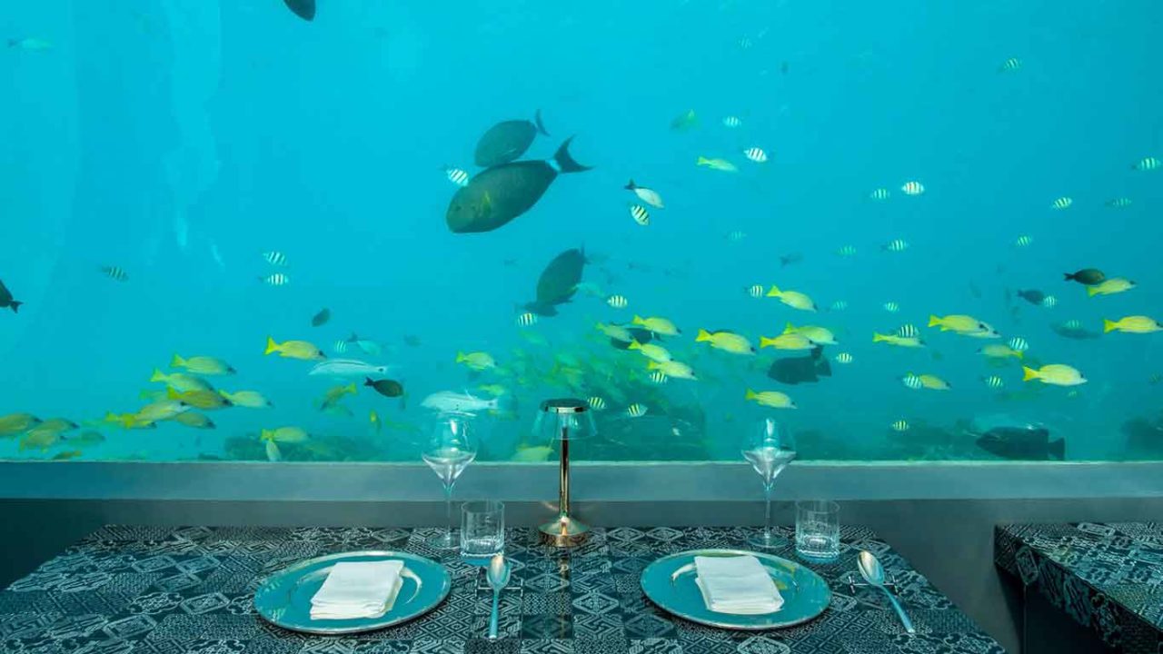 h2o ristorante subacqueo maldive