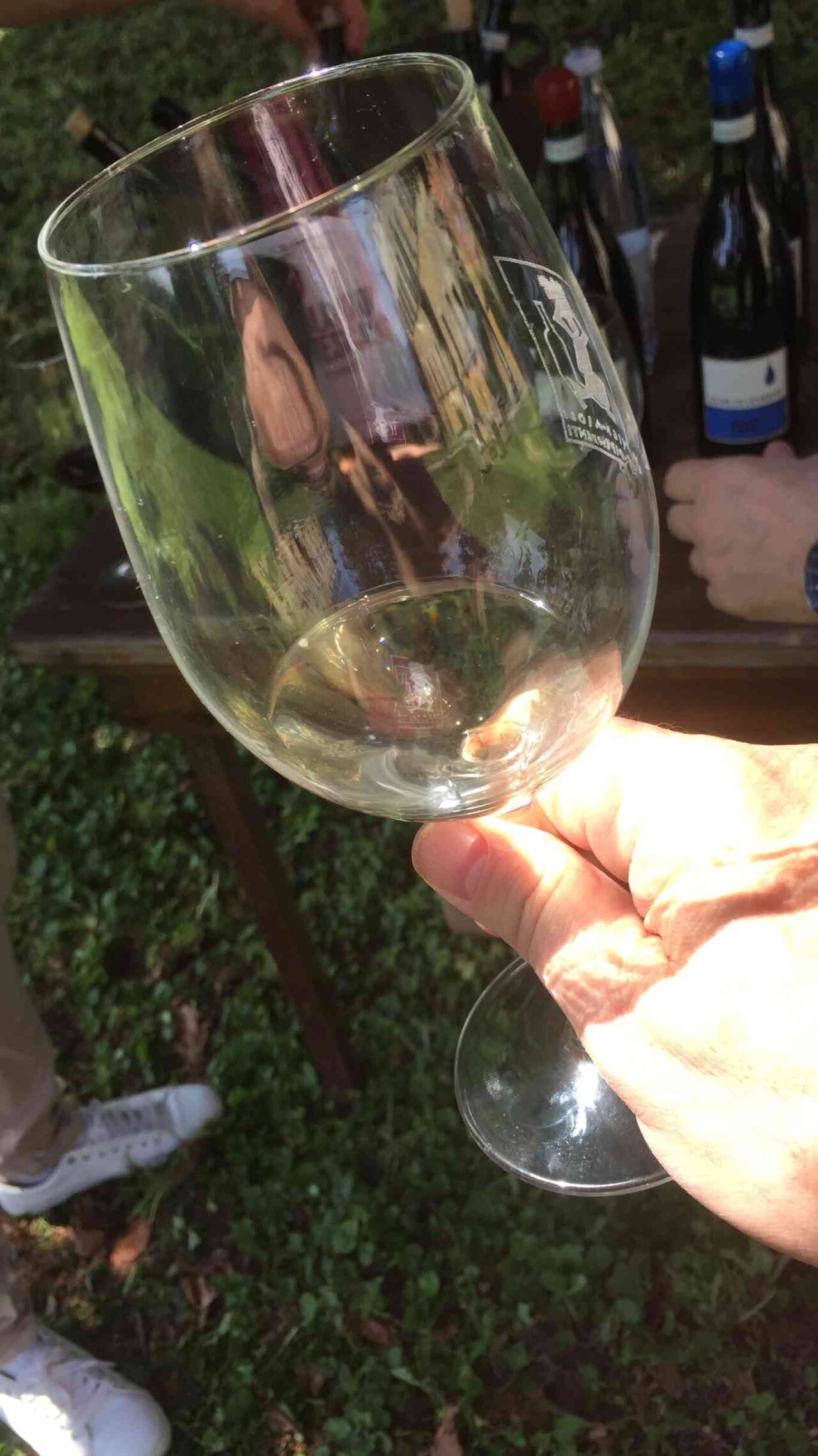 sabato fivi  bicchiere vino naturale bianco