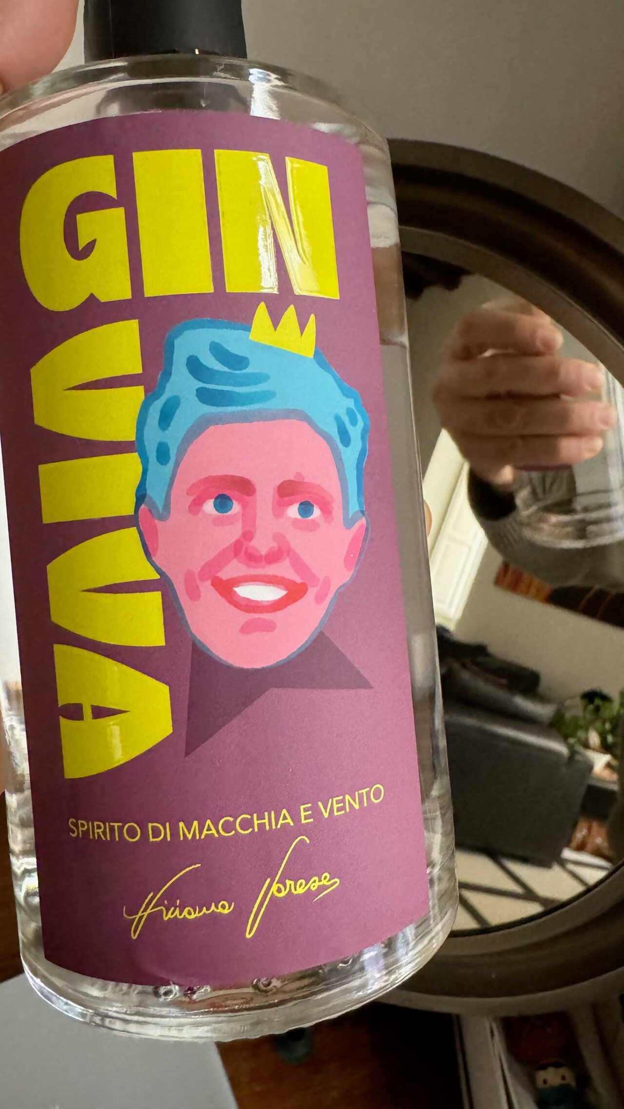 Gin Viva di Viviana Varese